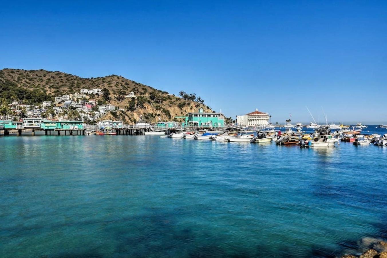 Lux Oceanfront Villa With Breathtaking Views Avalon Kültér fotó